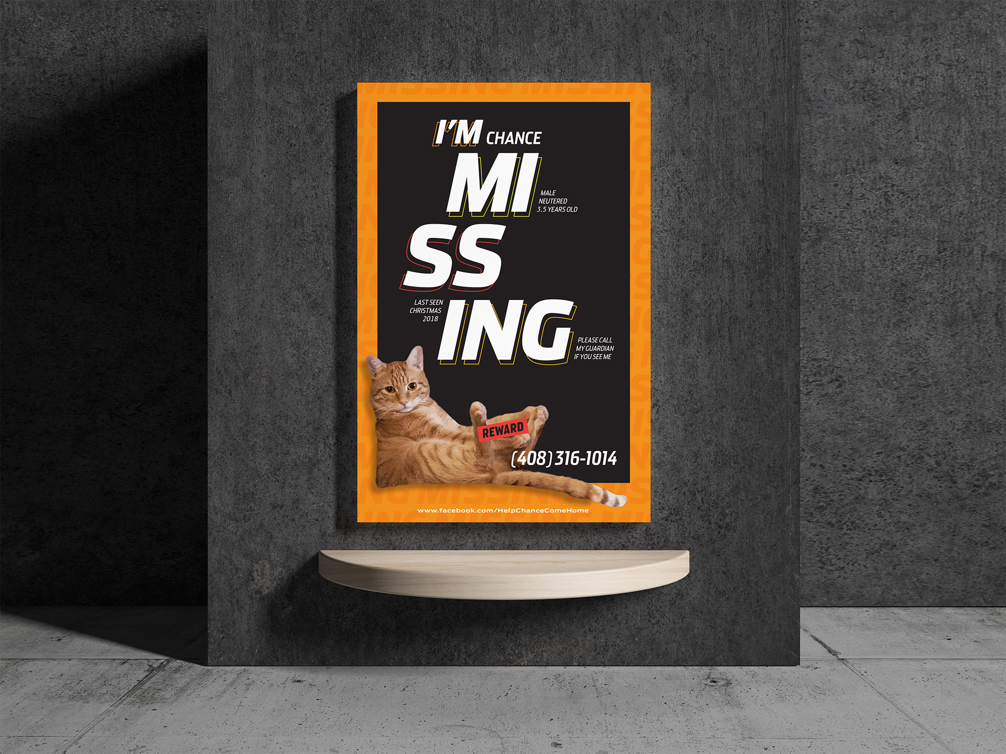 Missing cat wall poster